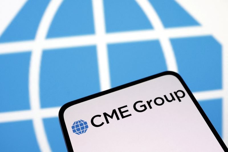 CME Group ট্রেডিং প্ল্যাটফর্মে বিঘ্ন গ্লোবাল অর্থনীতি ও নৈতিক দায়বদ্ধতাLYNXMPELAR03T_L