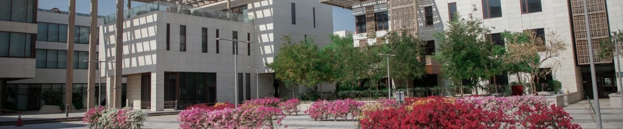 Doha Institute for Graduate Studie