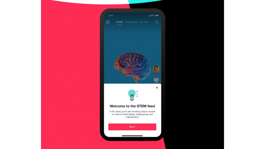 টিকটকের স্টেম ফিড সবার জন্য শেখার একটি প্ল্যাটফর্ম